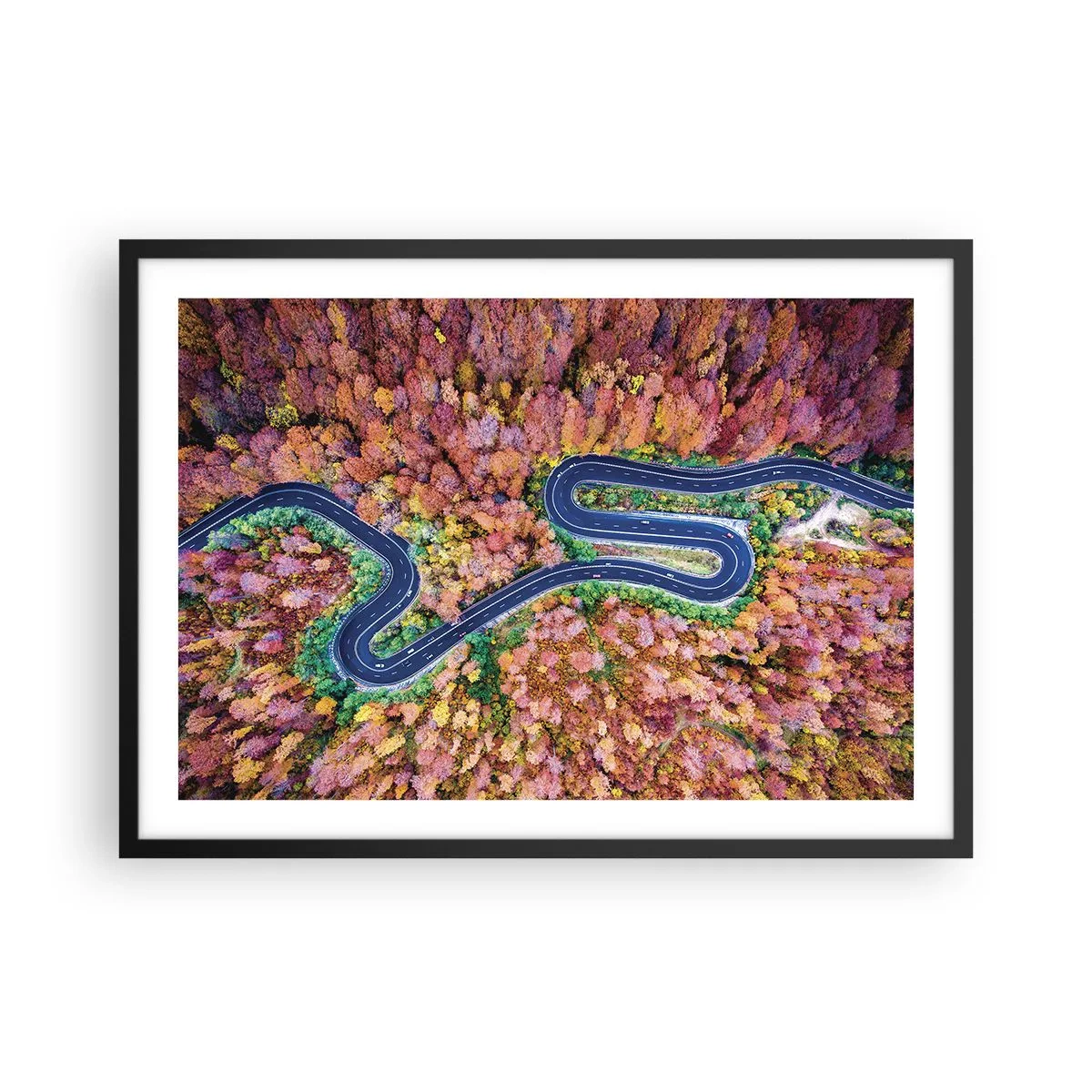 Affisch i svart ram - Slingrande väg genom skogen - 70x50 cm