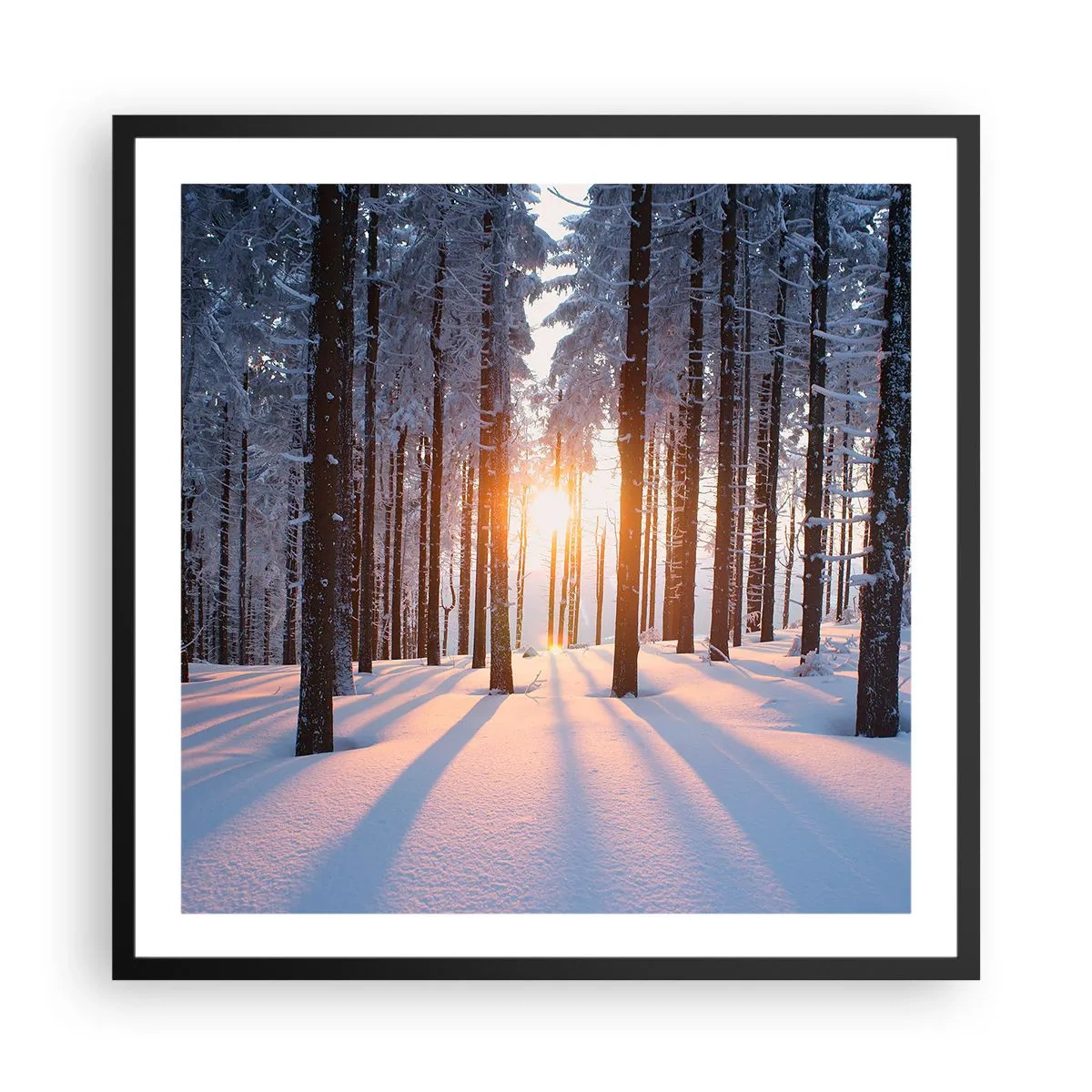 Affisch i svart ram - Tydligt svart på vitt - 60x60 cm