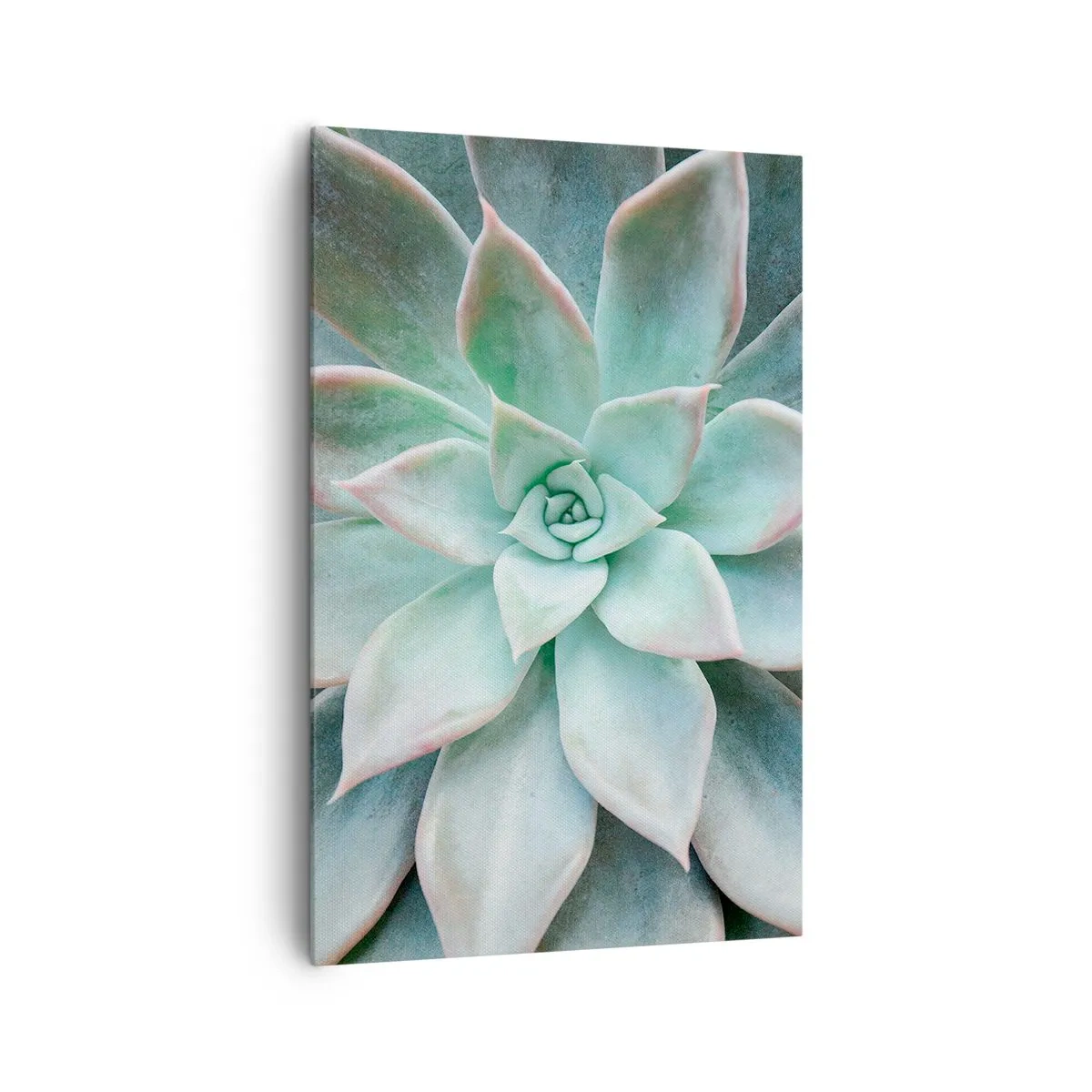 Canvastavla - Bild på duk - Öknens hjärta - 80x120 cm