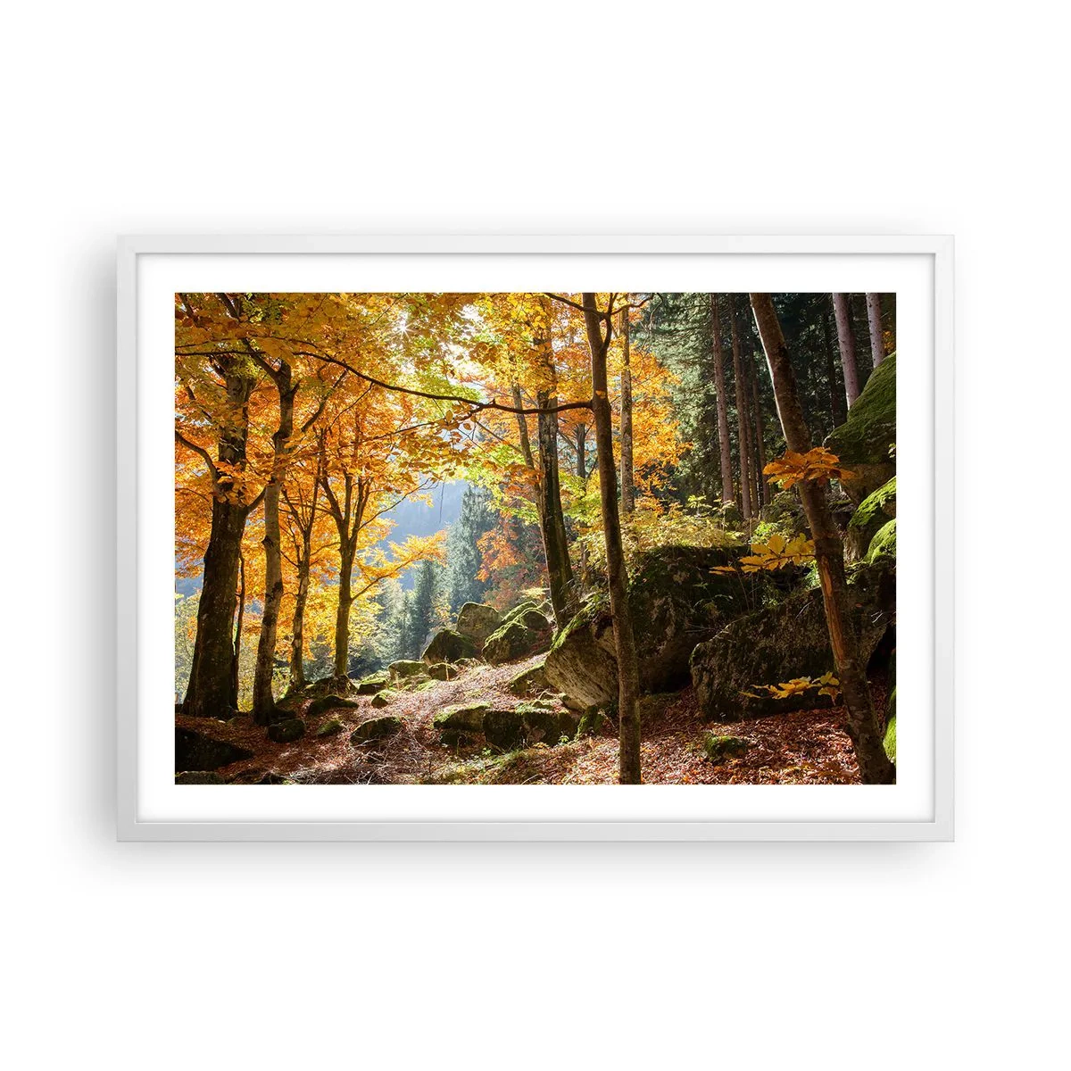 Affisch i vit ram - Dags att vila - 70x50 cm