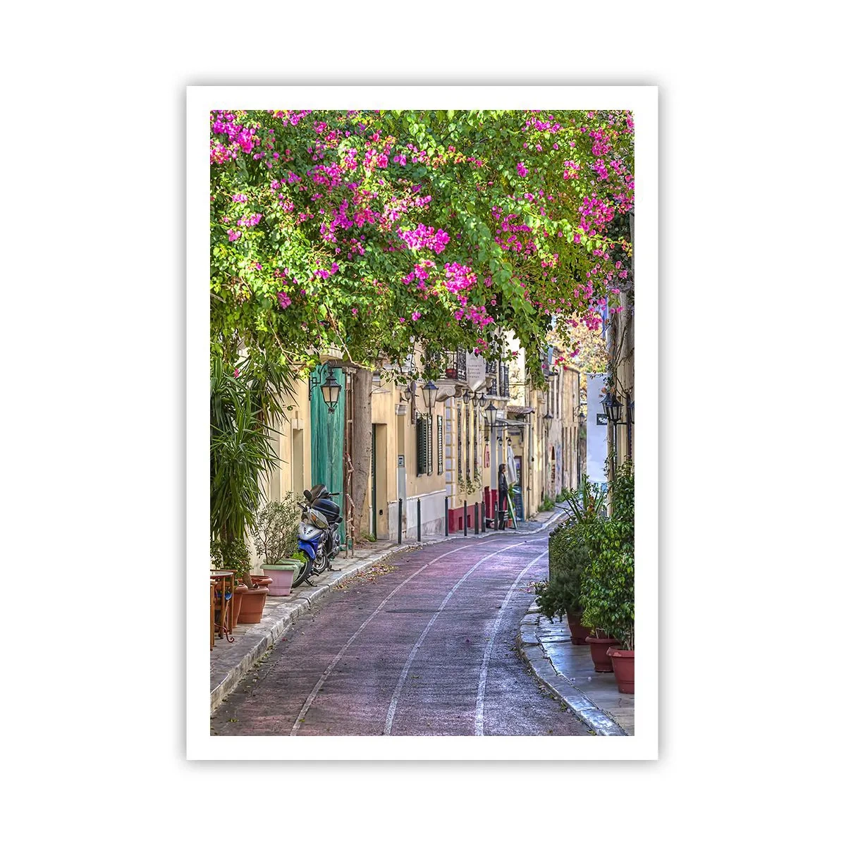 Affisch - Blommande gata - 70x100 cm