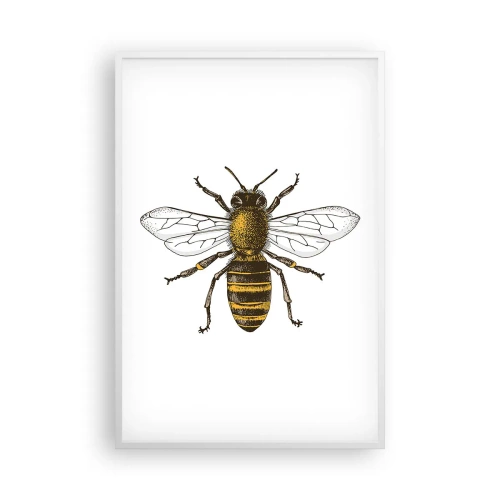 Affisch i vit ram - Vackert och bra - 61x91 cm