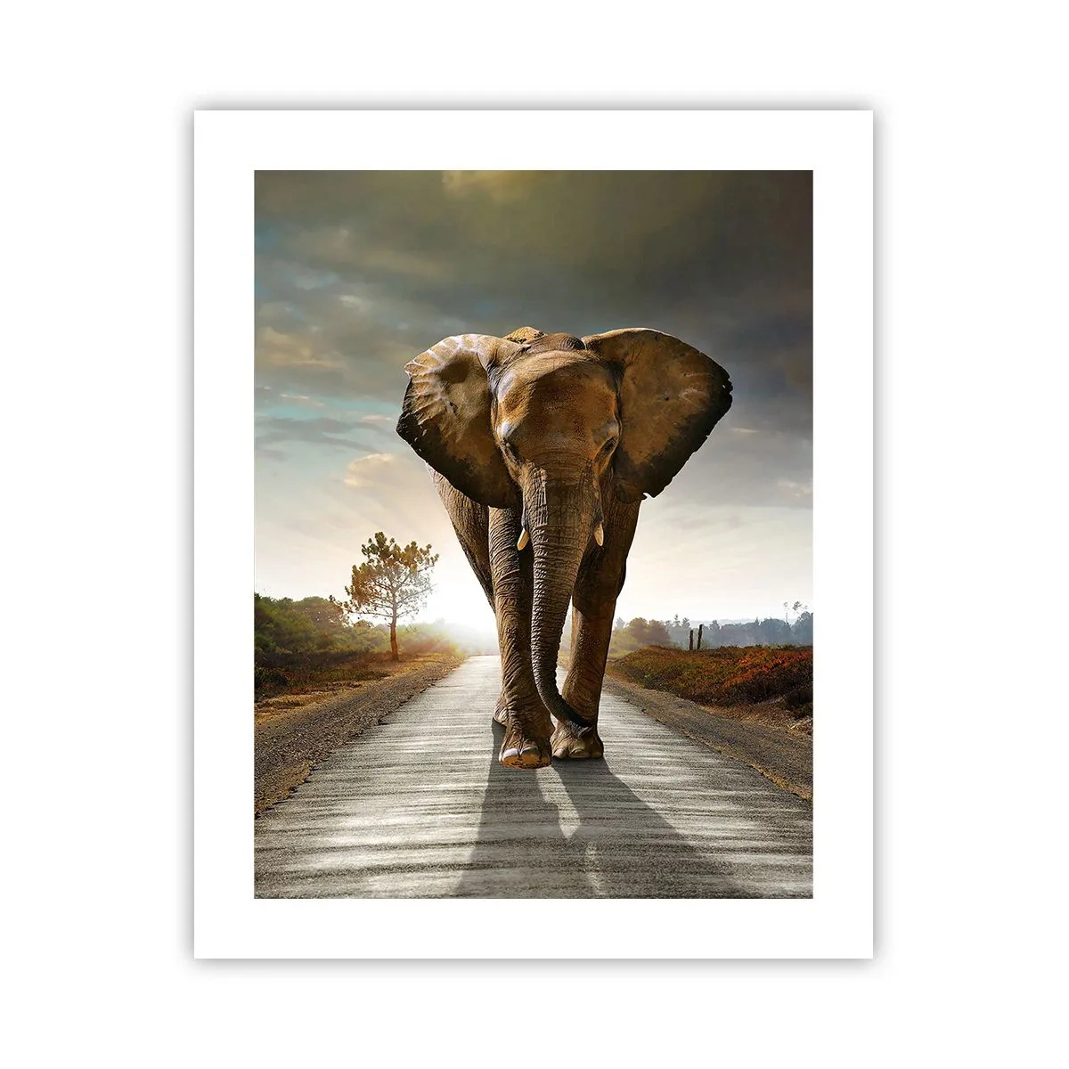 Affisch - Inte alls i en porslinsbutik - 40x50 cm