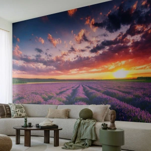 Fototapet Standard Eco - Lavendelfält vid solnedgången - 100x70cm - Lavandelvärld - Modern väggdekoration för vardagsrum och sovrum ARTTOR