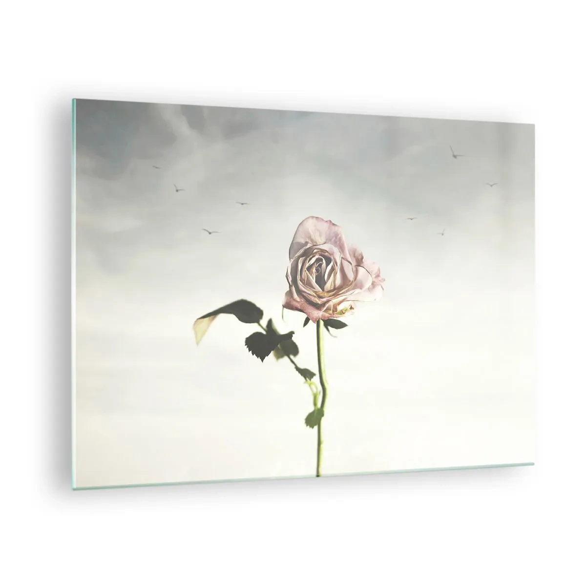 Glastavla - Bild på glas - En delikat ros mot himlen med flygande fåglar - 70x50cm - Vårens välkomst - Modern väggdekoration för vardagsrum och sovrum ARTTOR