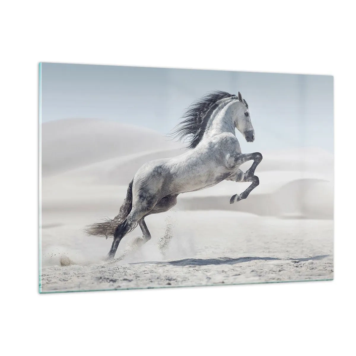 Glastavla - Bild på glas - Arabisk prins - 120x80 cm