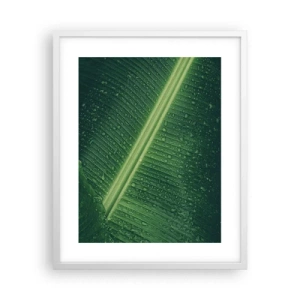 Affisch i vit ram - Grönskans struktur - 40x50 cm