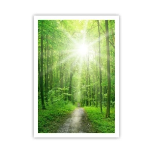 Affisch - Grön domkyrka - 70x100 cm