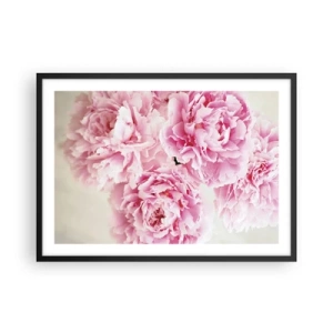 Affisch i svart ram - Rosa prakt - 70x50 cm