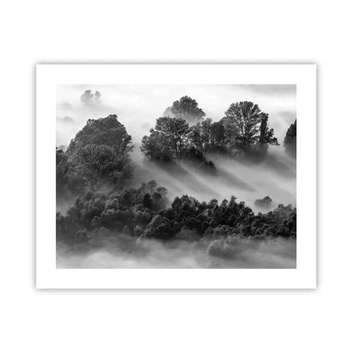 Affisch - Stiger ur sömnen - 50x40 cm