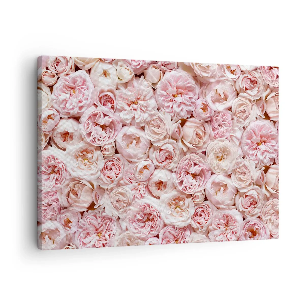 Canvastavla - Bild på duk - Fina rosor i nyanser av rosa över hela ytan - 70x50cm - Strödd med rosor - Modern väggdekoration för vardagsrum och sovrum ARTTOR