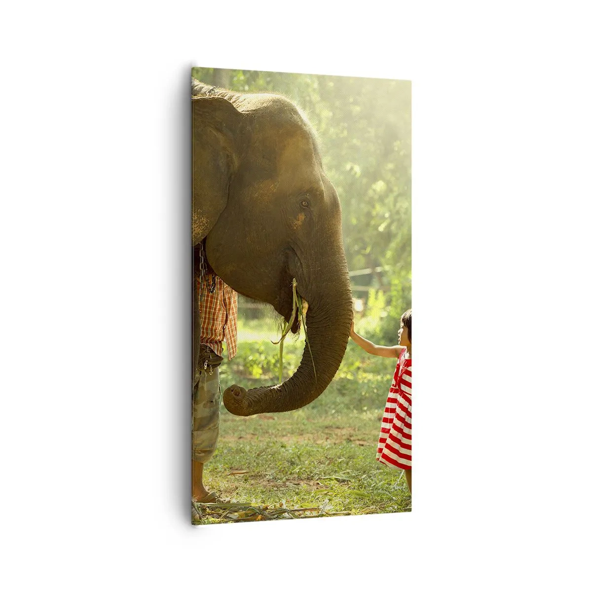 Canvastavla - Bild på duk - Vänskapens styrka - 65x120 cm