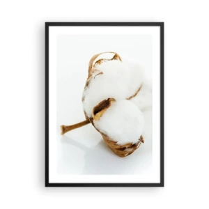 Affisch i svart ram - En närbild av en bomullskvist med fina vita fibrer. - 50x70cm - Mjuk av naturen - Modern väggdekoration för vardagsrum och sovrum ARTTOR