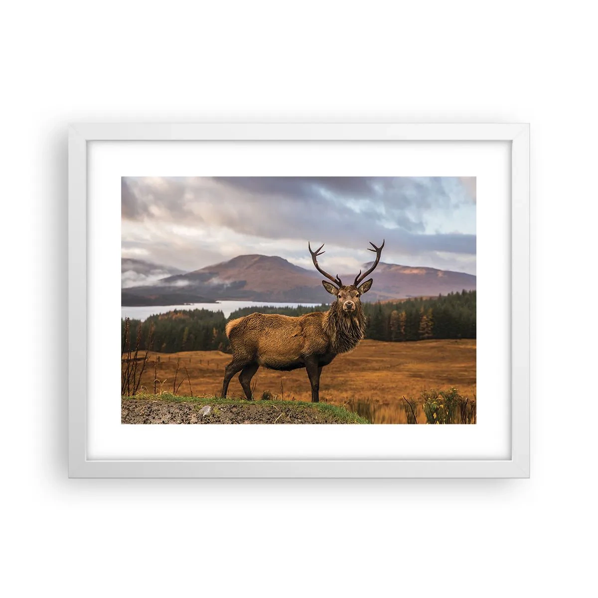 Affisch i vit ram - Naturens majestät - 40x30 cm