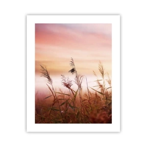 Affisch - Drakar, maskrosor, vind - 40x50 cm