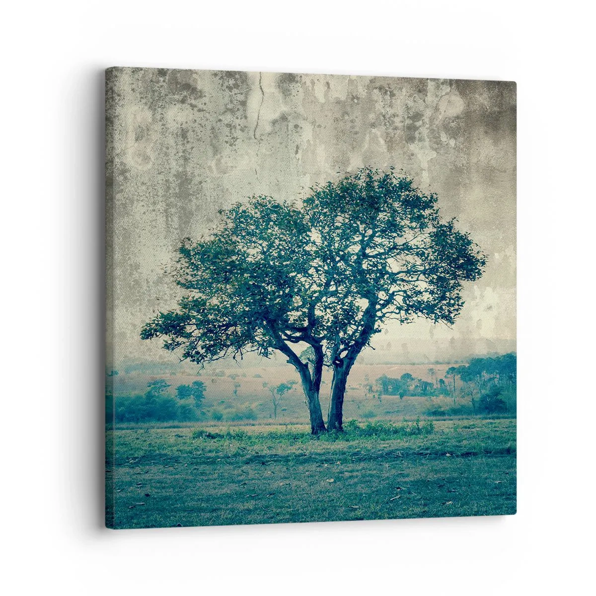 Canvastavla - Bild på duk - Äppelträd på blå betesmark? - 30x30 cm