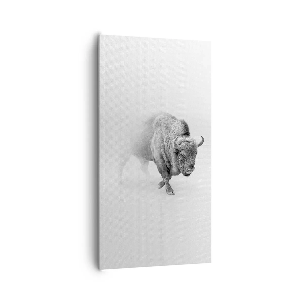 Canvastavla - Bild på duk - Präriens kung - 65x120 cm