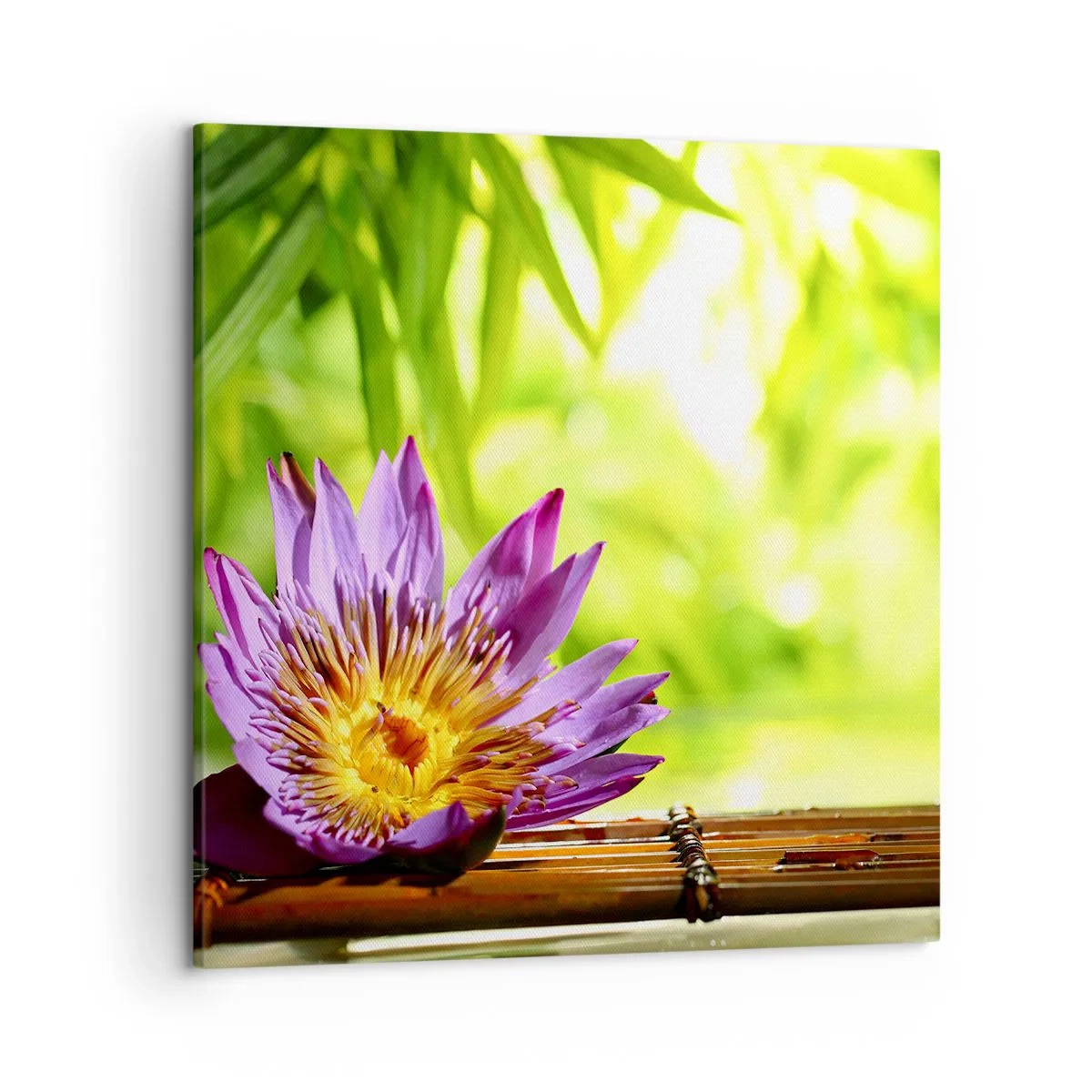 Canvastavla - Bild på duk - I asiatisk sol - 50x50 cm