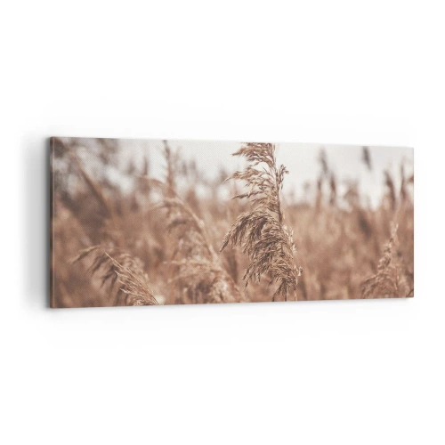 Canvastavla - Bild på duk - Hösten är framme på åkrarna - 100x40 cm