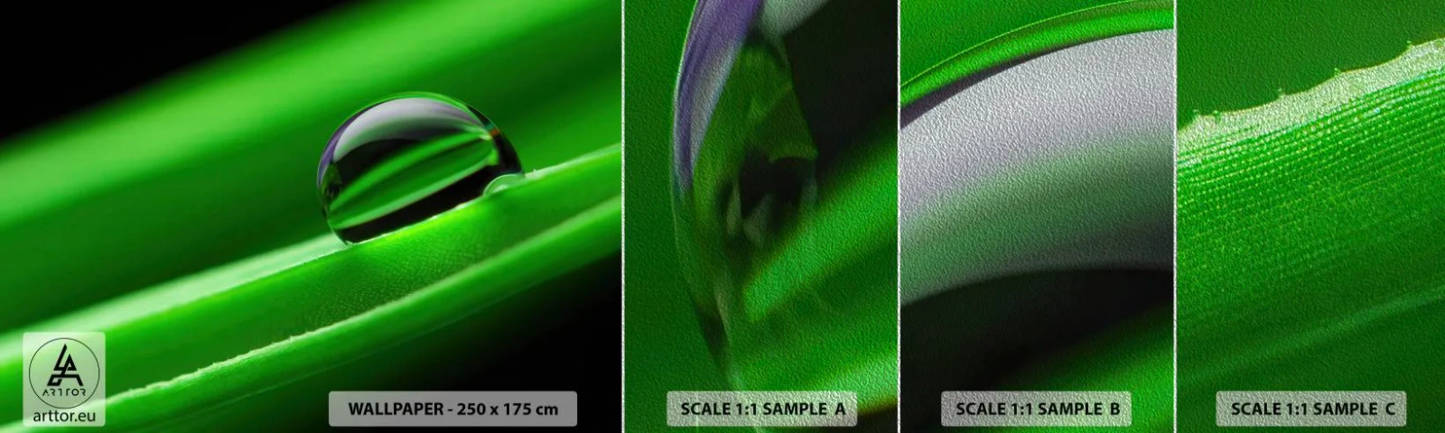 Provbit av fototapet Premium Sand - Livet på nära håll - Abstraktion, Grafik, En droppe vatten - 100x30 cm