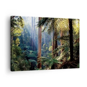 Canvastavla - Bild på duk - Tropisk skog upplyst av solens strålar - 70x50cm - Skogens saga - Modern väggdekoration för vardagsrum och sovrum ARTTOR