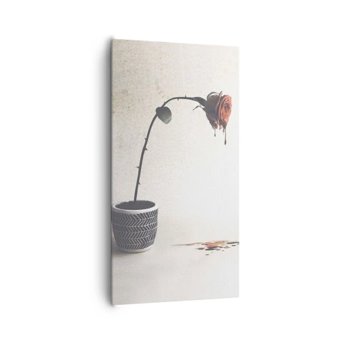 Canvastavla - Bild på duk - Rosa dolorosa - 65x120 cm