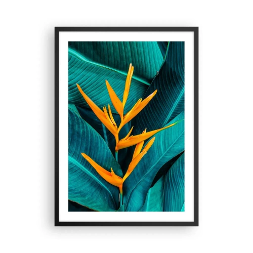 Affisch i svart ram - En exotisk blomma mot en bakgrund av gröna tropiska blad. - 50x70cm - Edens blomma - Modern väggdekoration för vardagsrum och sovrum ARTTOR