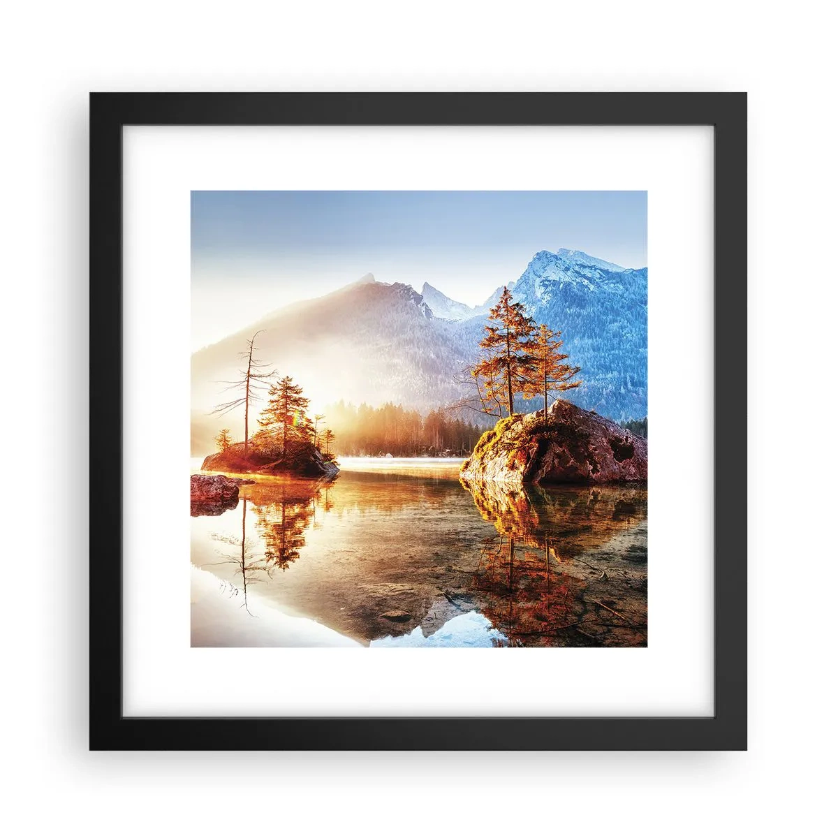 Affisch i svart ram - Naturen i ett nytt ljus - 30x30 cm