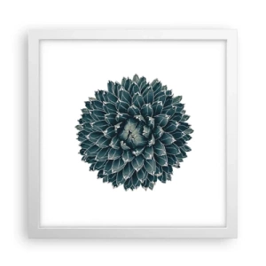 Affisch i vit ram - Öknens stjärna - 30x30 cm
