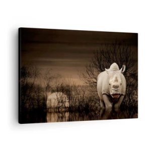 Canvastavla - Bild på duk - Noshörning bland träd vid solnedgången, vild natur. - 70x50cm - Vit mot naturen - Modern väggdekoration för vardagsrum och sovrum ARTTOR