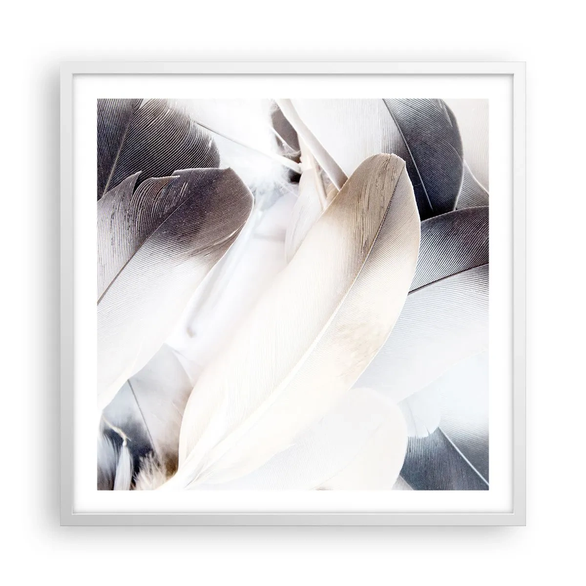 Affisch i vit ram - Nästan änglalik - 60x60 cm