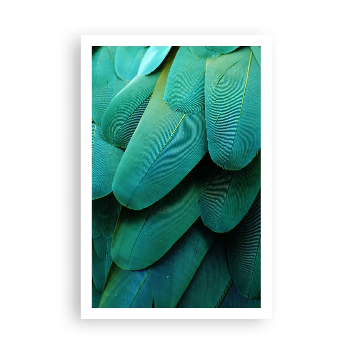 Affisch - Precision av papegojans natur - 61x91 cm