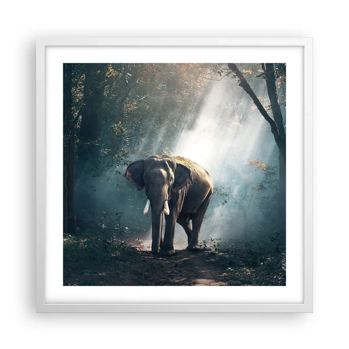 Affisch i vit ram - Lugn promenad - 50x50 cm