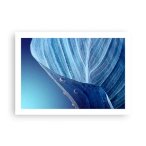 Affisch - Dolda droppar av blått - 70x50 cm