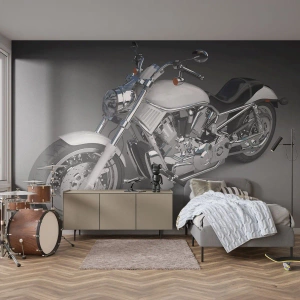 Fototapet Premium Canvas - Man vill lägga sig knäna - Bil, Motorcykel, Resor - 450x315 cm