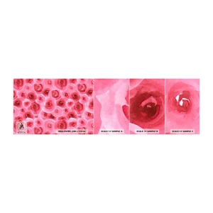 Provbit av självhäftande fototapet Deluxe Sticker - Rosor upe och nere - Blommor, Skönhet, Romantik - 100x30 cm