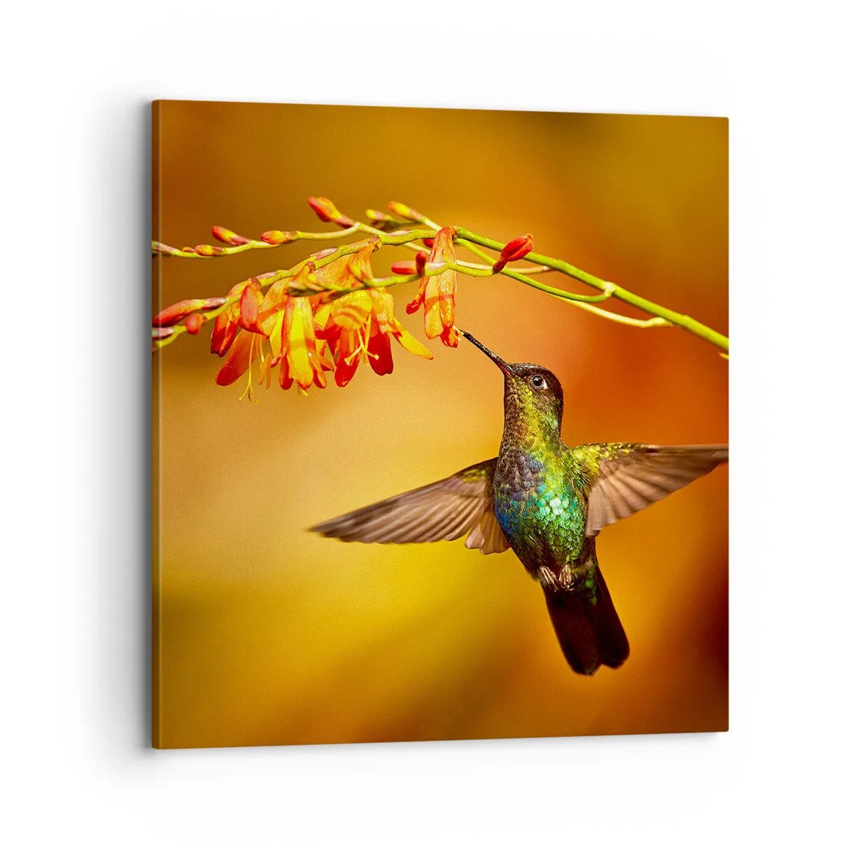 Canvastavla - Bild på duk - Ljusbud enligt Mayafolket - 70x70 cm