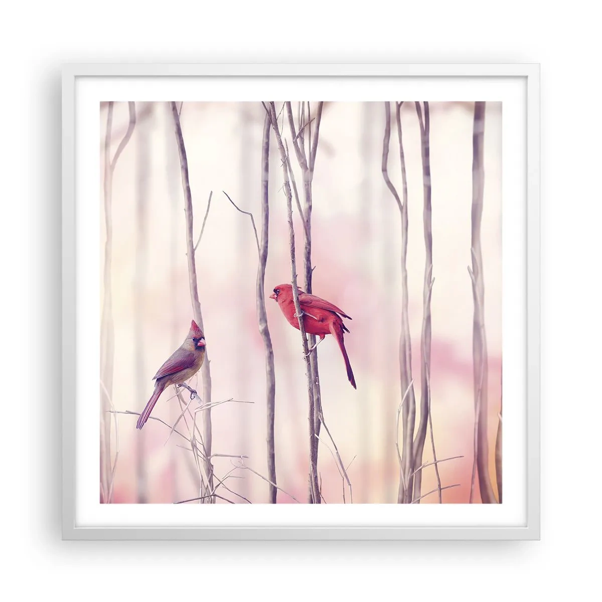 Affisch i vit ram - Rosa skogens saga - 60x60 cm