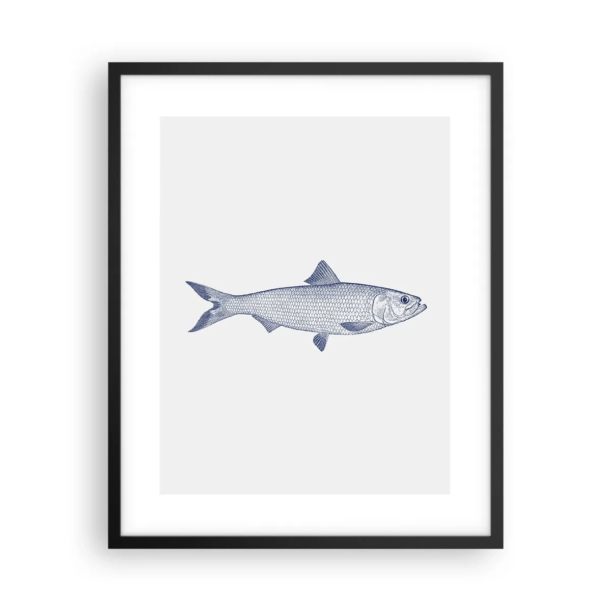 Affisch i svart ram - Hälsningar från de nordliga haven - 40x50 cm