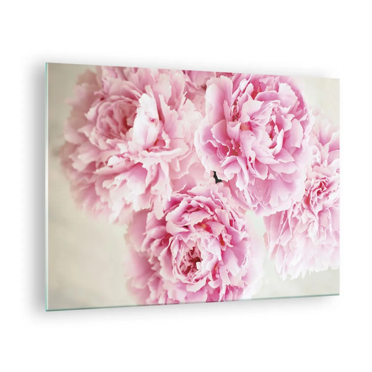 Glastavla - Bild på glas - En bukett med rosa pioner på en ljus bakgrund - 70x50cm - Rosa prakt - Modern väggdekoration för vardagsrum och sovrum ARTTOR