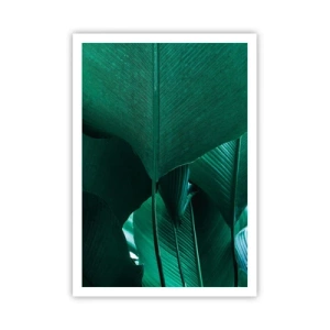 Affisch - Vända mot ljuset - 70x100 cm