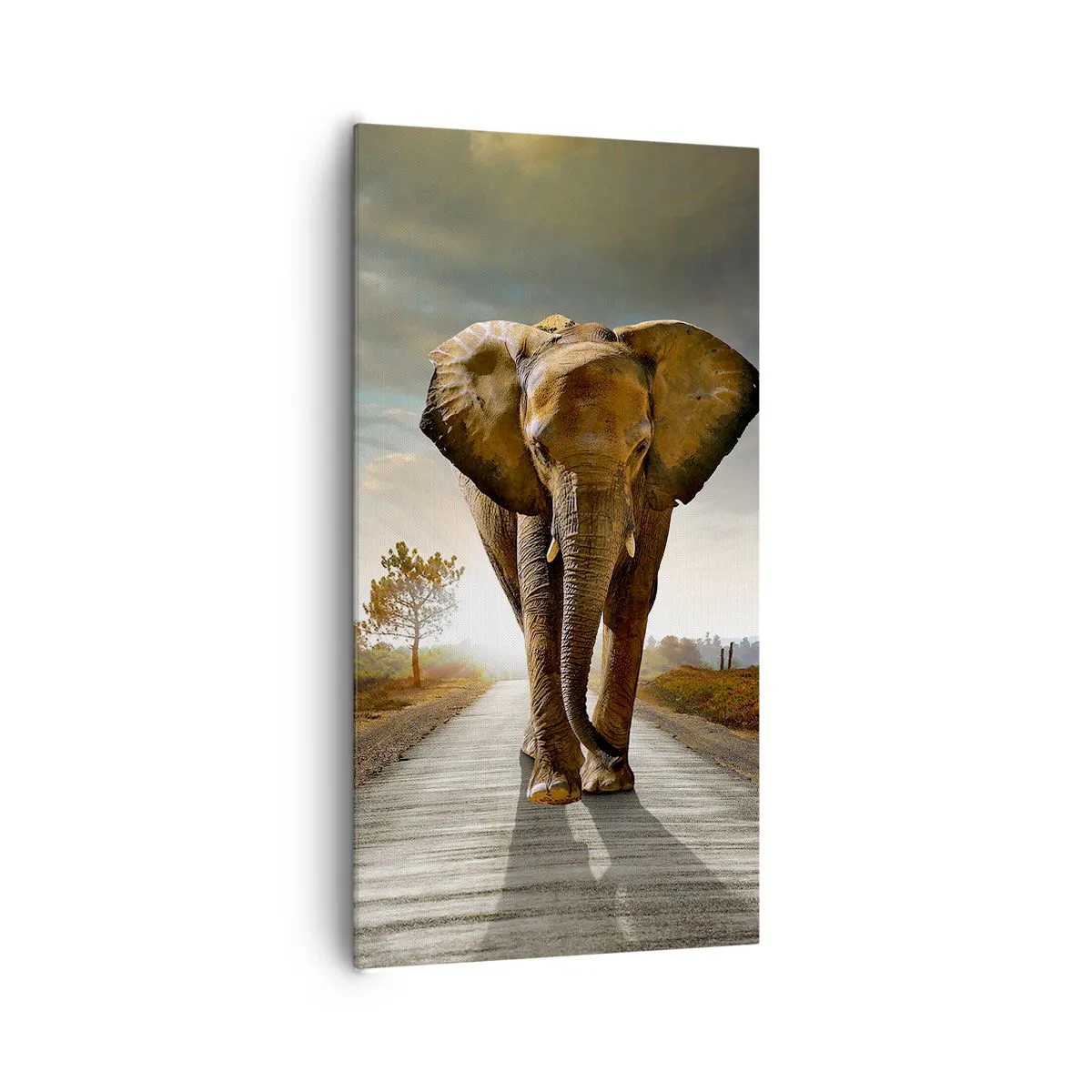 Canvastavla - Bild på duk - Inte alls i en porslinsbutik - 65x120 cm