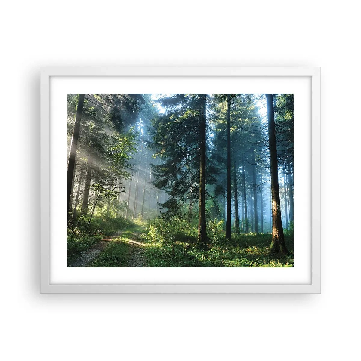 Affisch i vit ram - Strålande på morgonen - 50x40 cm
