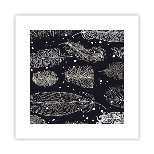 Affisch - Fjäderspets - 30x30 cm
