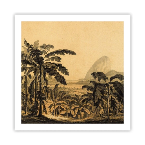 Affisch - I kolonial stämning - 60x60 cm