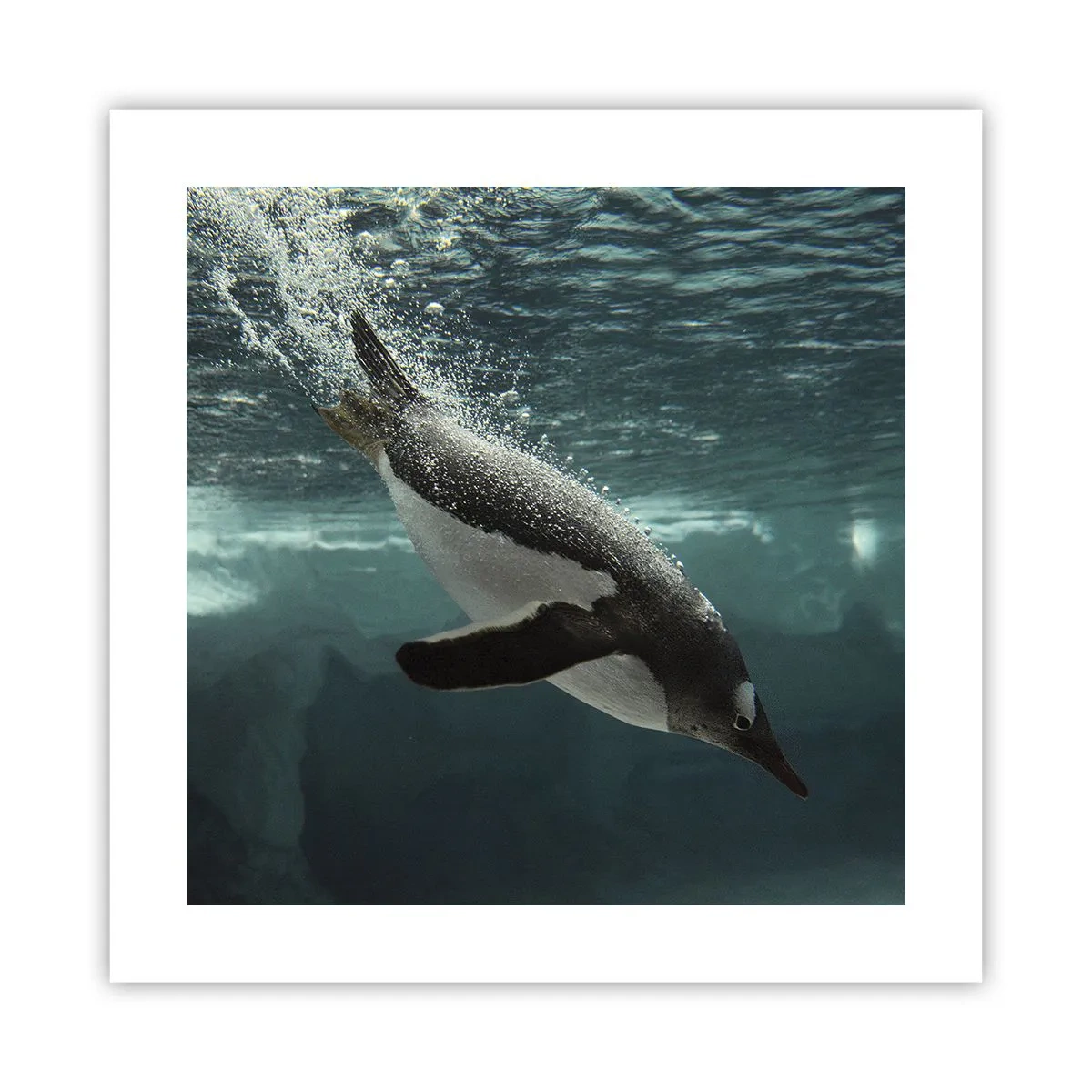 Affisch - Välkommen till min värld - 40x40 cm