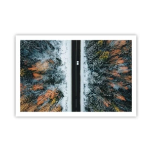 Affisch - Genom vinterskogen - 91x61 cm
