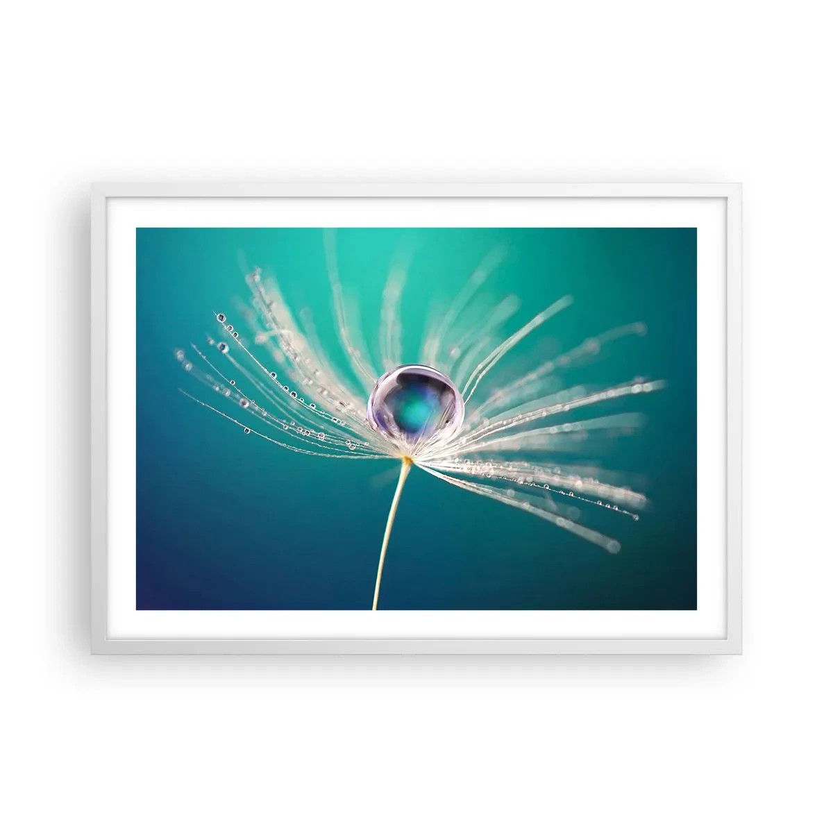 Affisch i vit ram - Mystisk stund - 70x50 cm