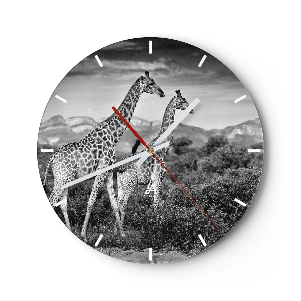 Väggklocka - Klocka på glas - Ett svartvitt fotografi av två giraffer på savannen. - 30x30cm - Högre klasser i Afrika - Modern väggdekoration för vardagsrum, kök och sovrum ARTTOR