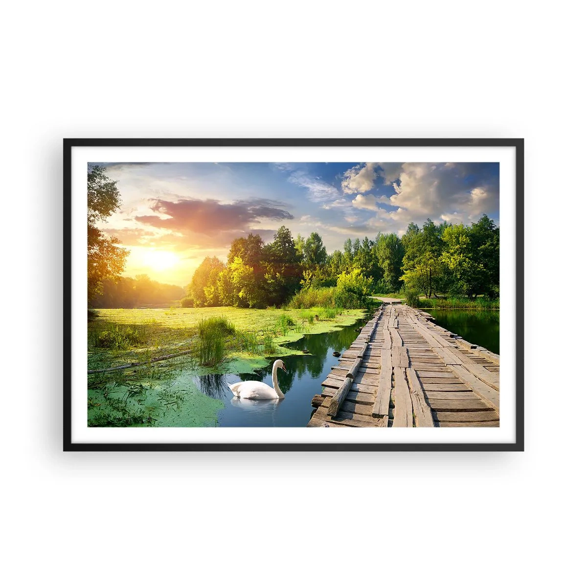 Affisch i svart ram - Sommar, sommar överallt - 91x61 cm